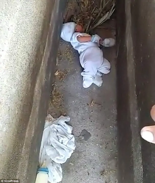 Bebê é encontrado em cemitério 