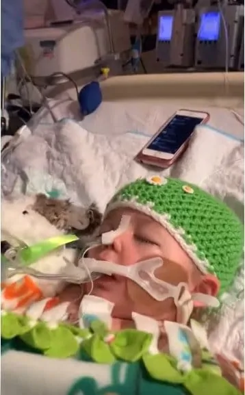 Cora, bebê de um ano, doa órgãos e salva vidas 