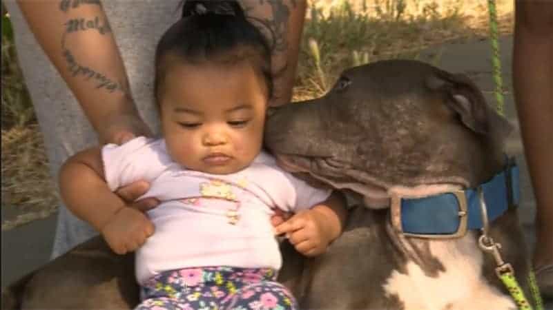 A fofa relação entre a bebê e a cachorra 