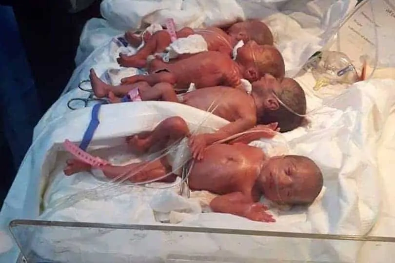 Nessa imagem cinco dos sete bebês que nasceram no Iraque