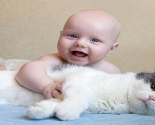 Aprenda como é a relação entre bebês e animais de estimação