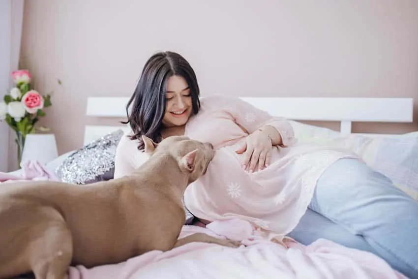 Desde a gravidez, as mães podem estimular o convívio dos bebês e animais de estimação