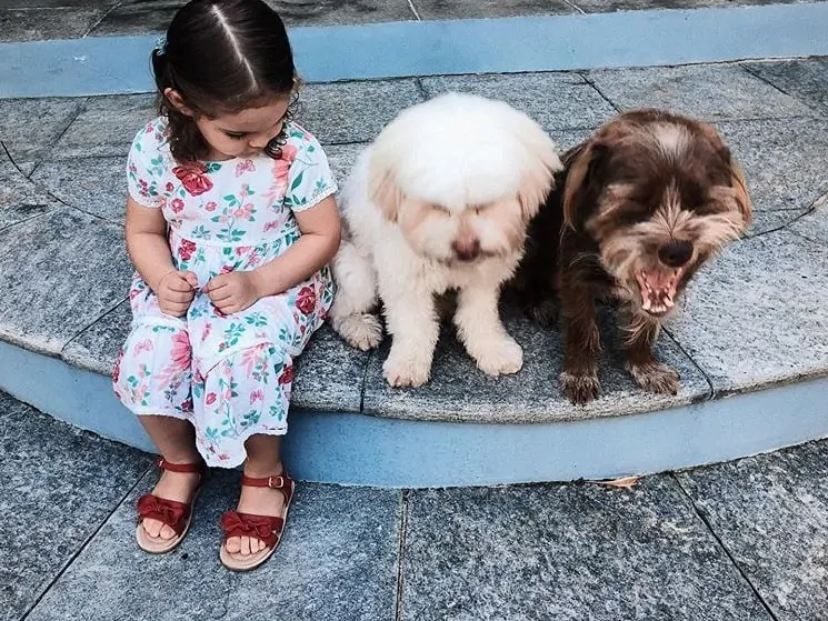 Filha de José Loreto e Débora Nascimento com os pets da família
