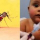 Entenda tudo sobre a vacina contra febre amarela