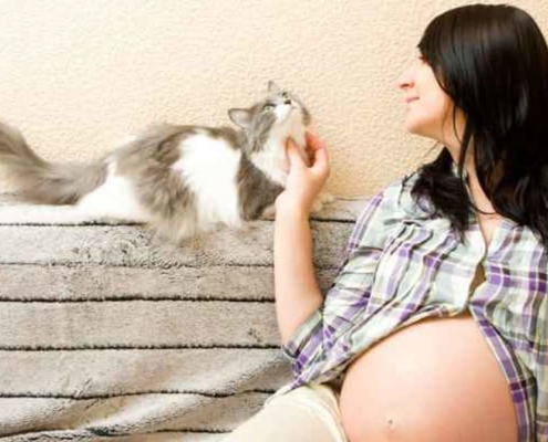 Saiba como tratar a toxoplasmose na gravidez