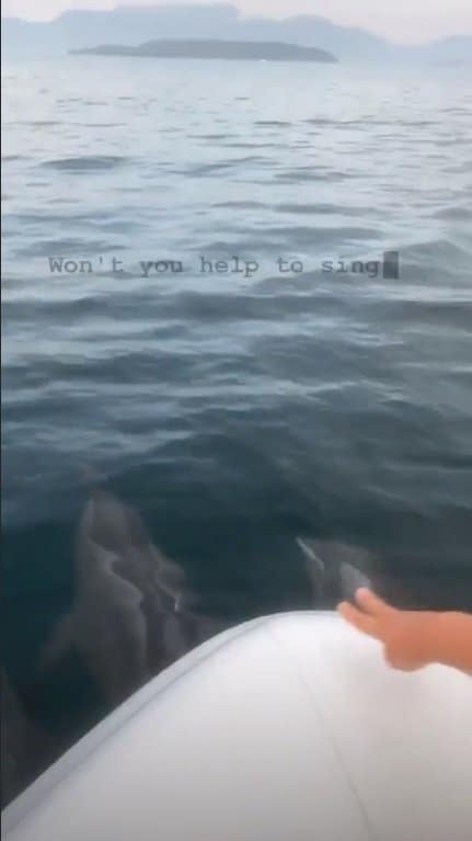 Filha de Grazi Massafera se encontrando com golfinhos