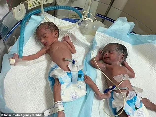 Bebês gêmeas que nasceram um mês antes da bebê menina da mãe idosa