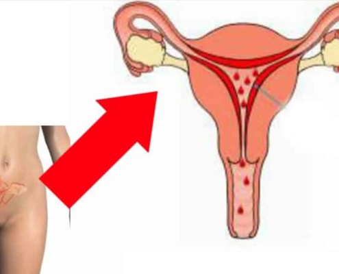 Saiba mais sobre a menstruação após o parto