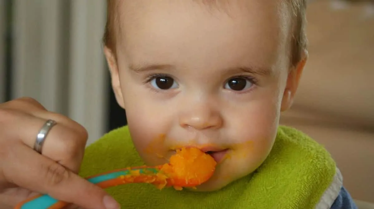 Aprenda a fazer uma deliciosa papinha de bebê