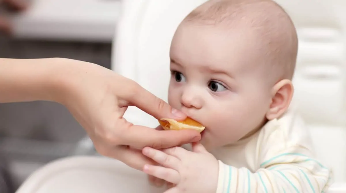 Saiba quais frutas o bebê pode comer