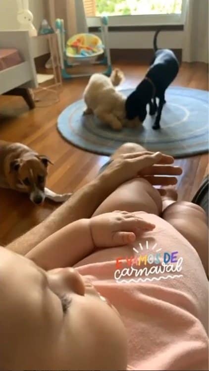 Bebê de Tatá Werneck e Rafael Vitti com três de seus cachorrros