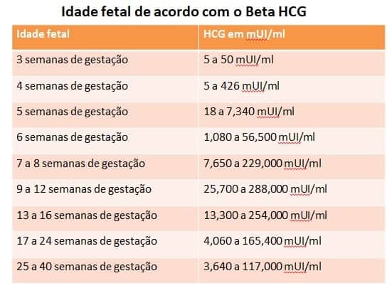 Beta Hcg Entenda O Resultado Do Exame De Gravidez Bebê Mamãe 