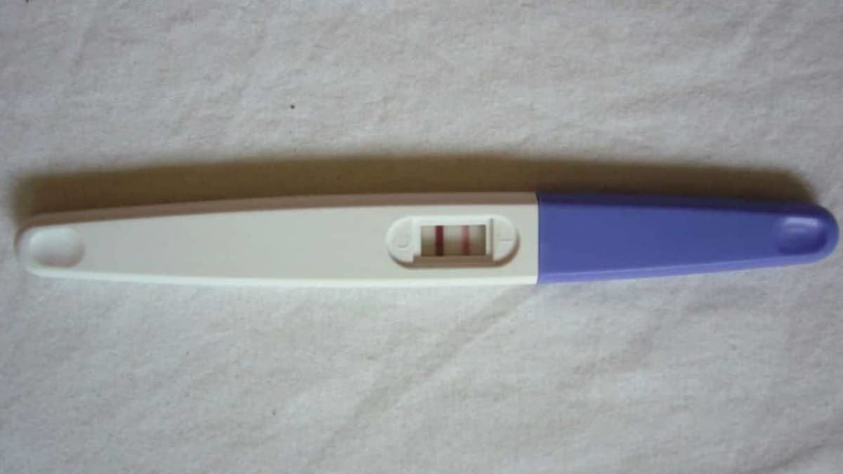 Como saber se o exame de gravidez é positivo Teste De Gravidez Caseiro Como Fazer Qual E O Melhor Dia E Mais