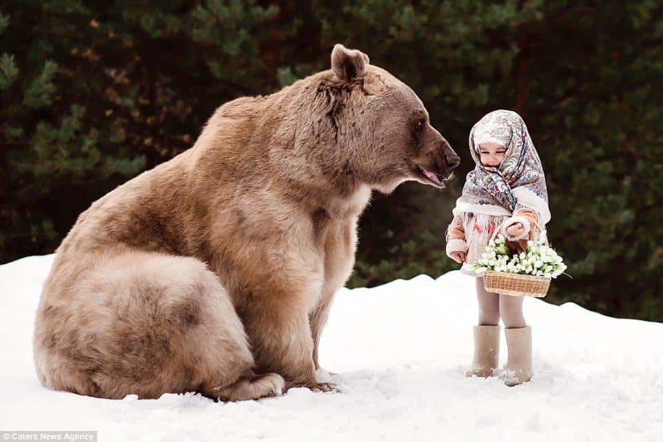 O urso marron Stepan que brinca com as crianças na floresta