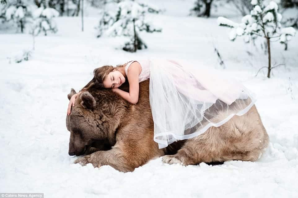 Saiba agora de Stepan o urso marrom de 300 kilos que brinca com crianças na floresta