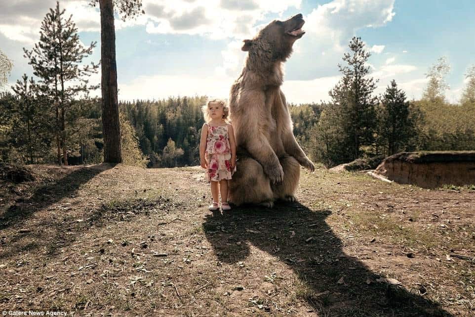 Conheça Stepan o urso marrom que brinca com crianças na floresta