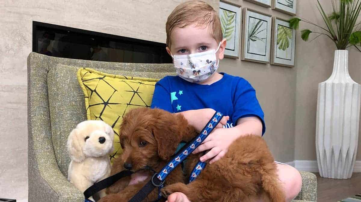 Durante o tratamento contra o câncer, o menino quis ganhar um cachorro