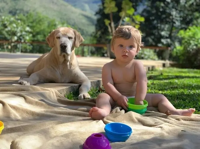 Carmo Dalla Vecchia encantou ao mostrar seu filho Pedro