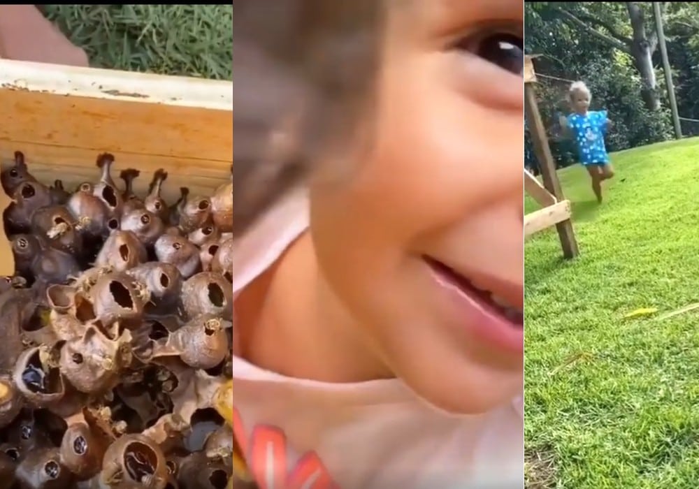 Ivete Sangalo mostrou suas filhas com criação de abelhas e surpreendeu