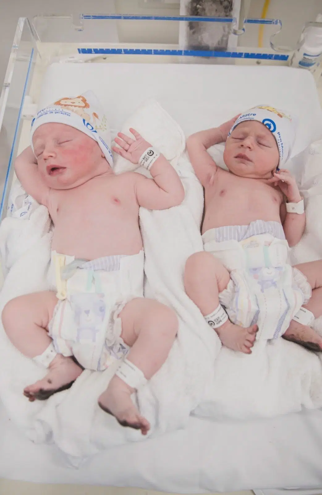 Isa Scherer comemora um mês de seus gêmeos e mostra fotos inéditas do nascimento
