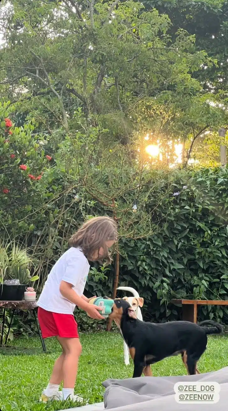 Filha de José Loreto surge brincando com os cachorros no jardim da mansão dele