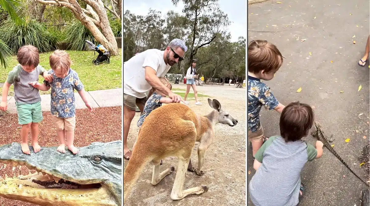 Romeu e Gael, filhos de Paulo Gustavo e Thales Bretas, ficaram impressionados com os animais australianos