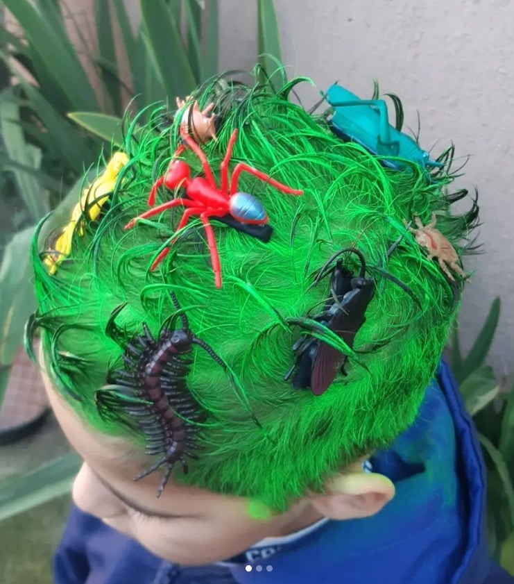 O cabelo do menino pode se transformar em um gramado repleto de insetos