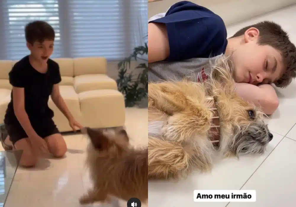 Ana Hickmann mostrando seu filho com cachorro que a ajudou
