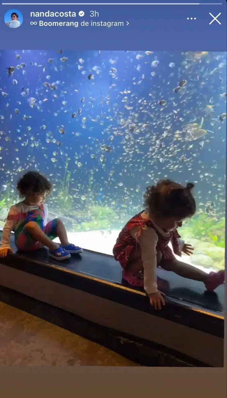Gêmeas de Nanda Costa posam brincando no aquário