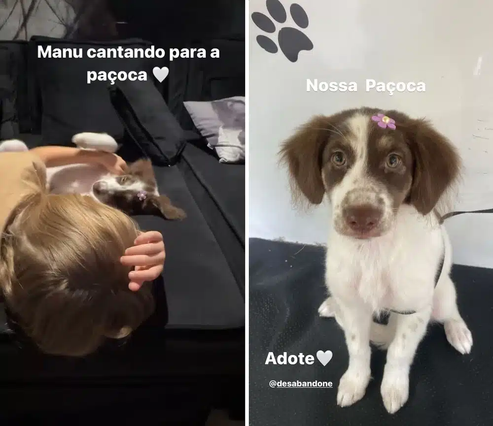 A apresentadora Eliana mostrou o novo pet da família e encantou 