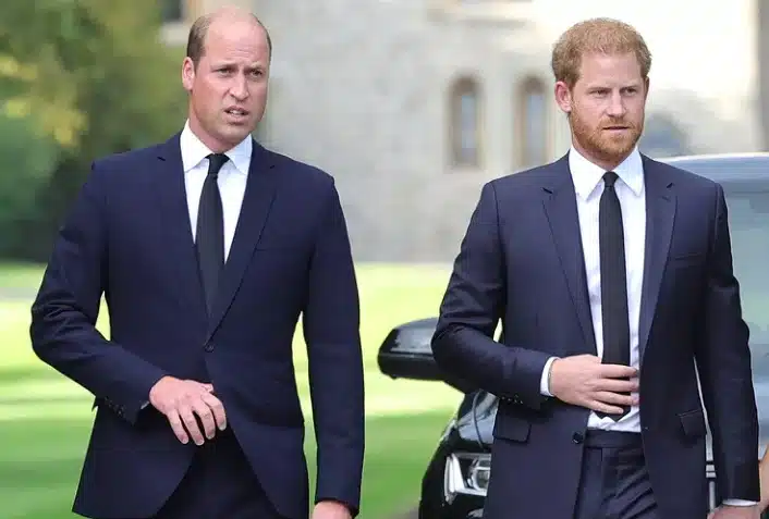 Príncipe William e Harry em rara aparição juntos