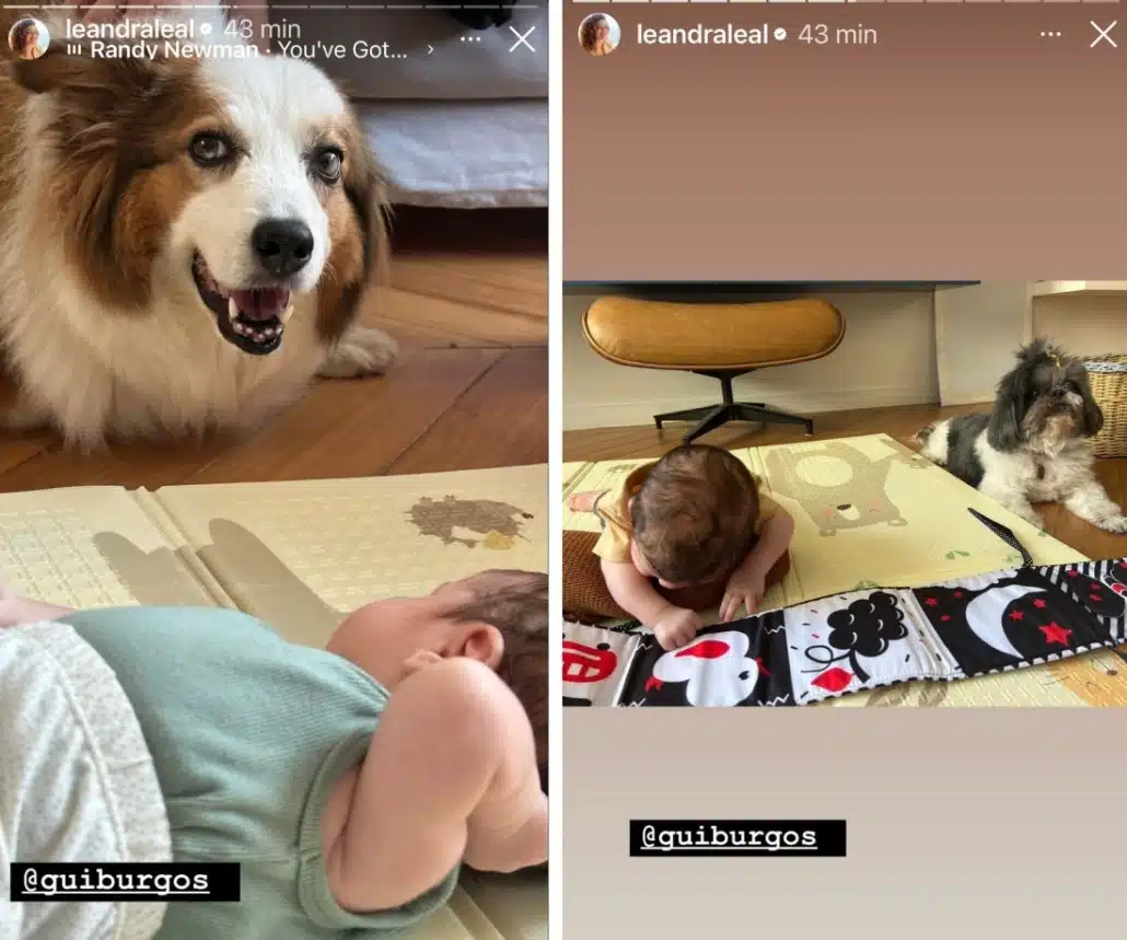 Leandra Leal mostra seu bebê com os cachorros da família