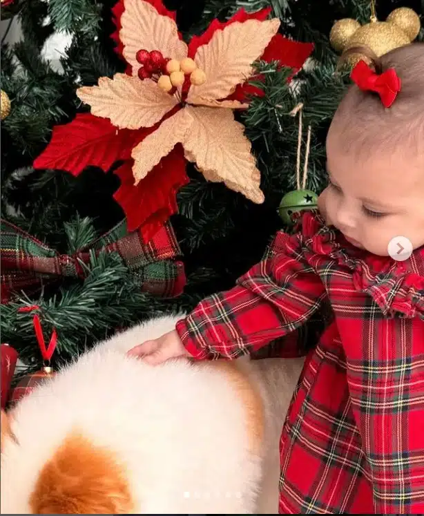 Bebê de Amanda Kimberlly comemorou com o pet