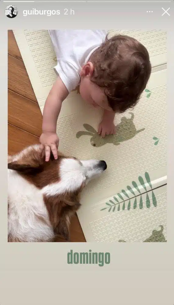 O caçulinha de Leandra Leal fazendo carinho no pet