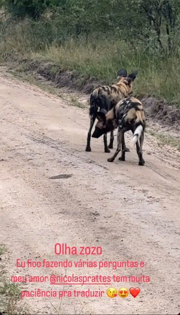 Sabrina Sato lembrou da filha ao ver os cães selvagens