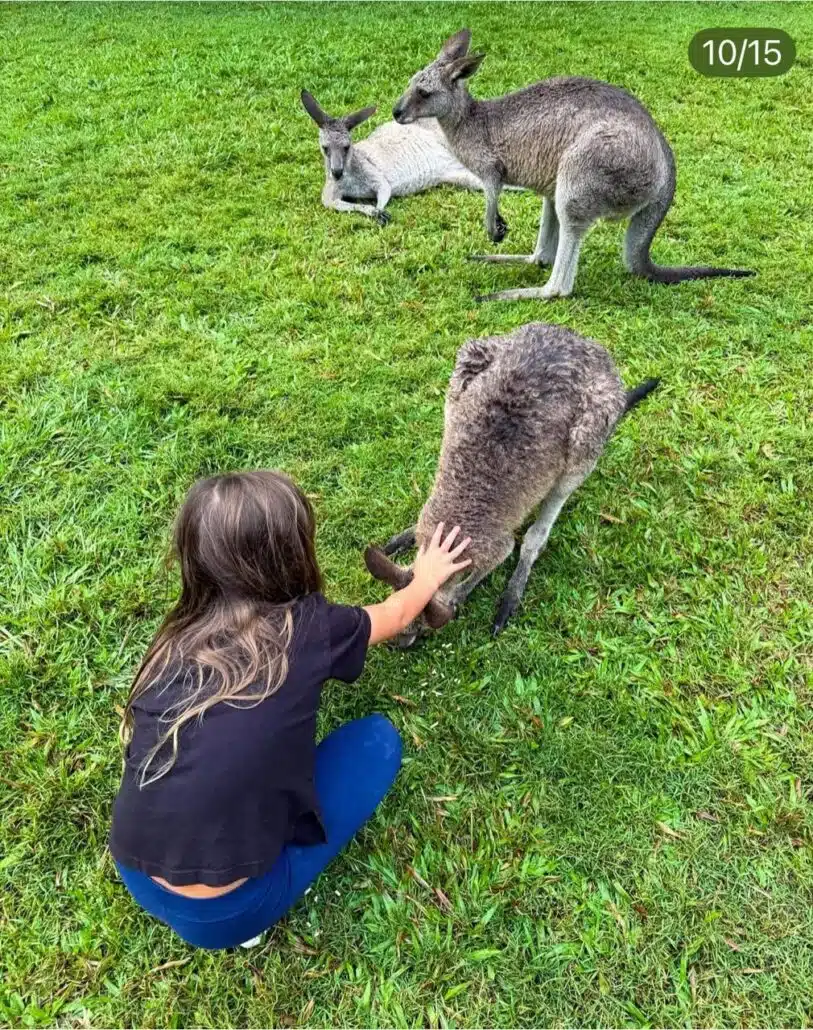 Na Austrália, Rodrigo Santoro mostra a primogênita brincando com canguru