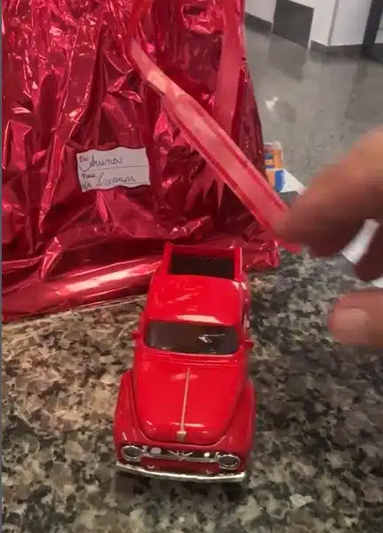 Pais das gêmeas Kiraz e Aruna deram presente a médico