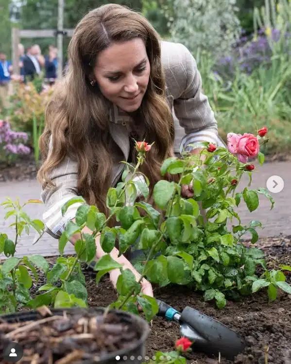 Princesa Kate Middleton no jardim do hospital no qual plantou rosas