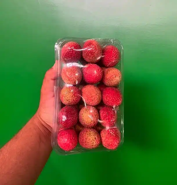 Entenda qual pode ser o problema da lichia