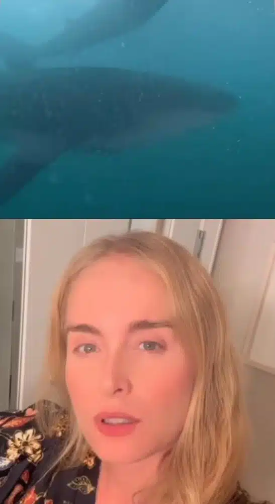 Angélica assiste vídeo de Luciano Huck e filho em atividade radial e reage