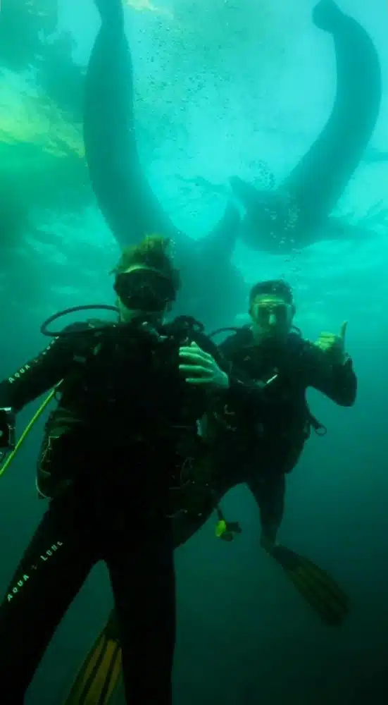 Luciano Huck e Benício surgem ao lado dos temidos tubarões