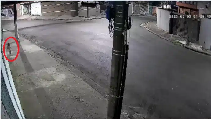 Criança andando sozinha após mãe deixá-la pra ir a baile