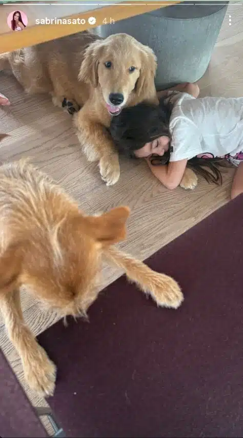 Filha de Duda Nagle e Sabrina Sato surge com os pets da família e impressiona