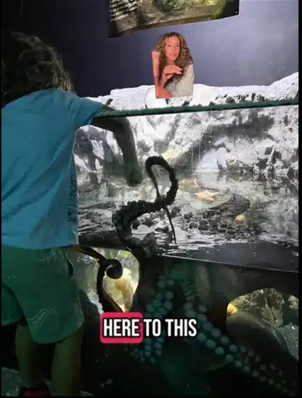 O menino com o polvo antes dele pegar seu braço