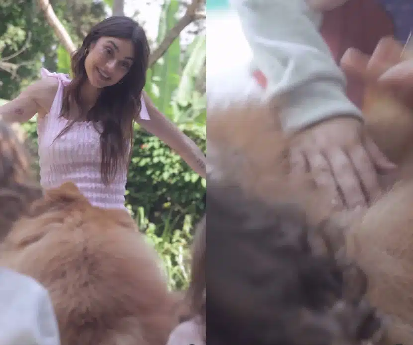 Thaila Ayala mostra seus filhos com os pets da família e surpreende