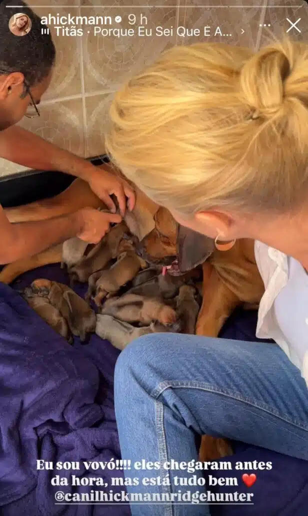 Ana Hickmann posa com os novos filhotes da família