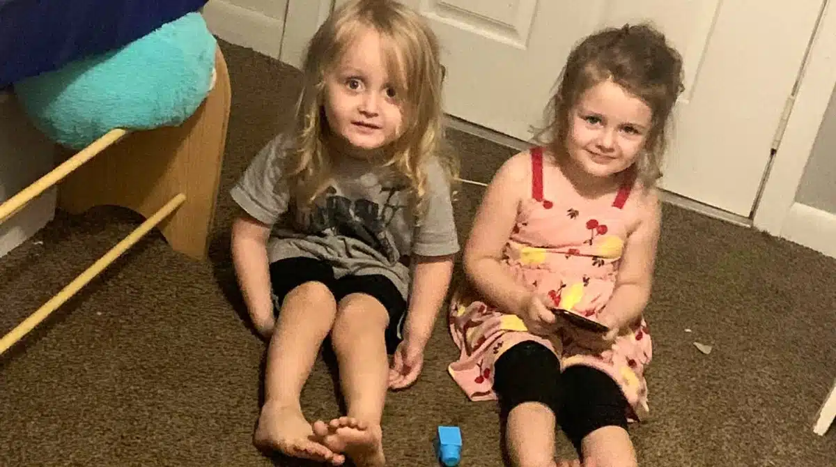 Baú de brinquedos tirou a vida de gêmeos