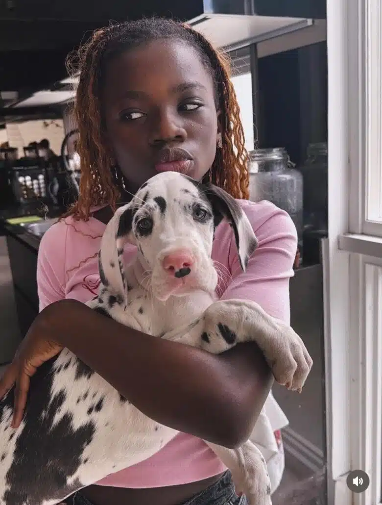 Títi, filha de Giovanna Ewbank e Bruno, com o novo membro da família