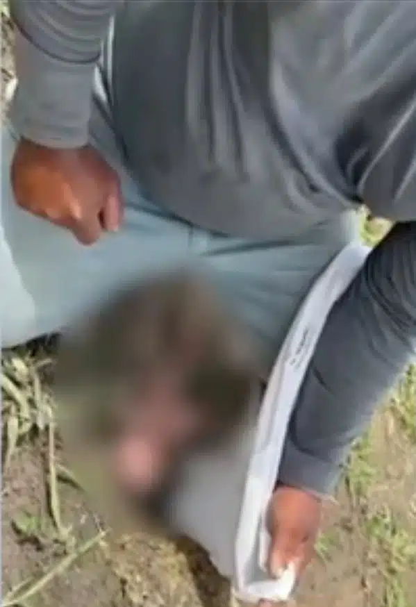 A bebê recém-nascida quando foi encontrada