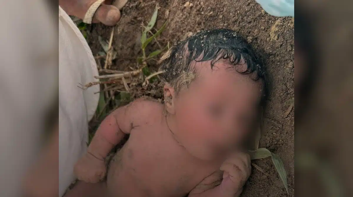 Mãe que deixou a recém-nascida foi descoberta e falou